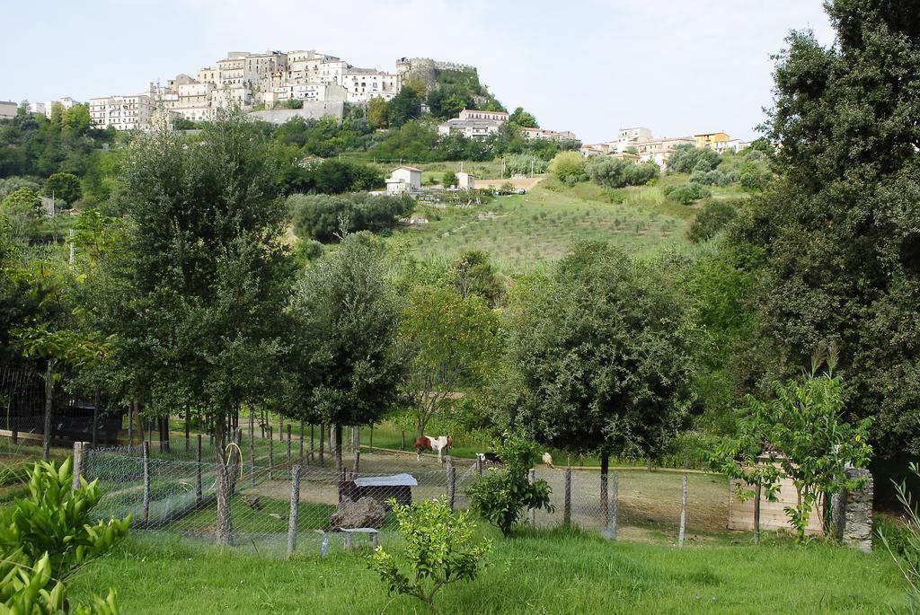 Agriturismo L'Arca Di Anna Brambilla بلفيديري ماريتّيمو المظهر الخارجي الصورة