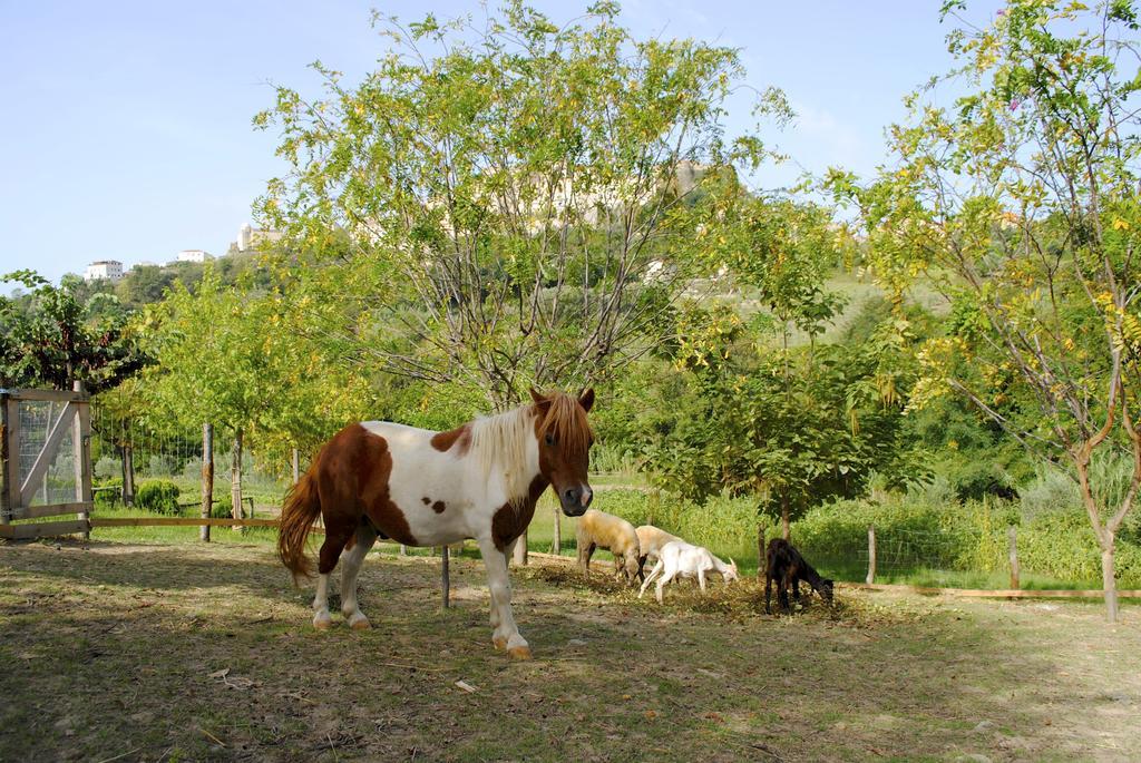 Agriturismo L'Arca Di Anna Brambilla بلفيديري ماريتّيمو المظهر الخارجي الصورة